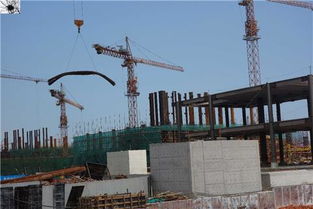 前海掃描映像 桂廟路主隧道開挖與月亮灣立交橋動工勘探同步推進(jìn)